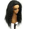BEEOS Kinky Curly Remy Human Hair Half Wig, 200% Density 3 In 1 Drawstring Glueless Half Wig for Women, Seamless Flip Over 20 Inch #1 Jet Black(Curly)