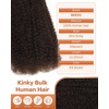 BEEOS Afro Kinkys Bulk Human Hair, 4C Curly for Braids 50gram, Kinky-Curly Human Hair Bulk For Mini Twists, Dreadlocks Extensions, Locs Repair, 350#Ginger 16inch(#4 Brown)