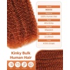 BEEOS Afro Kinkys Bulk Human Hair, 4C Curly for Braids 50gram, Kinky-Curly Human Hair Bulk For Mini Twists, Dreadlocks Extensions, Locs Repair, 350#Ginger 16inch(#350 Ginger)
