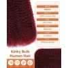 BEEOS Afro Kinkys Bulk Human Hair, 4C Curly for Braids 50gram, Kinky-Curly Human Hair Bulk For Mini Twists, Dreadlocks Extensions, Locs Repair, 350#Ginger 16inch(#99J Burgundy)