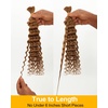 BEEOS Human Braiding Hair for Boho Braids 50g, Deep Wave Remy Human Hair for Boho Braids Full Ends No Weft 16 Inch #1B Natural Black(#30 Auburn Ginger-100g)